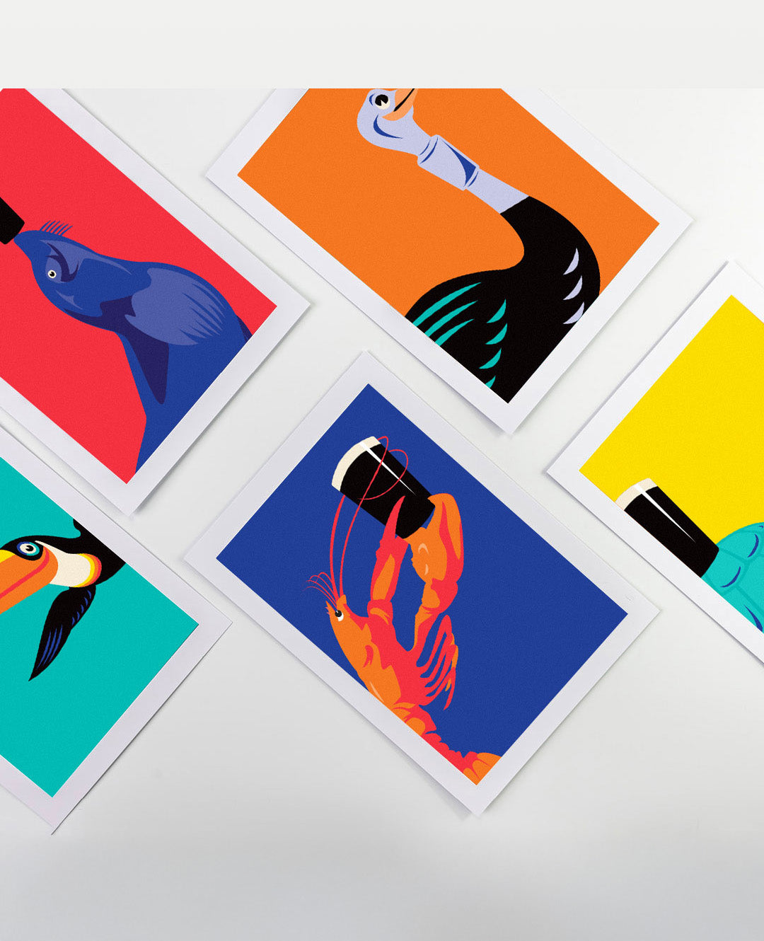 Set of colorful greeting cards with bird illustrations on a white background