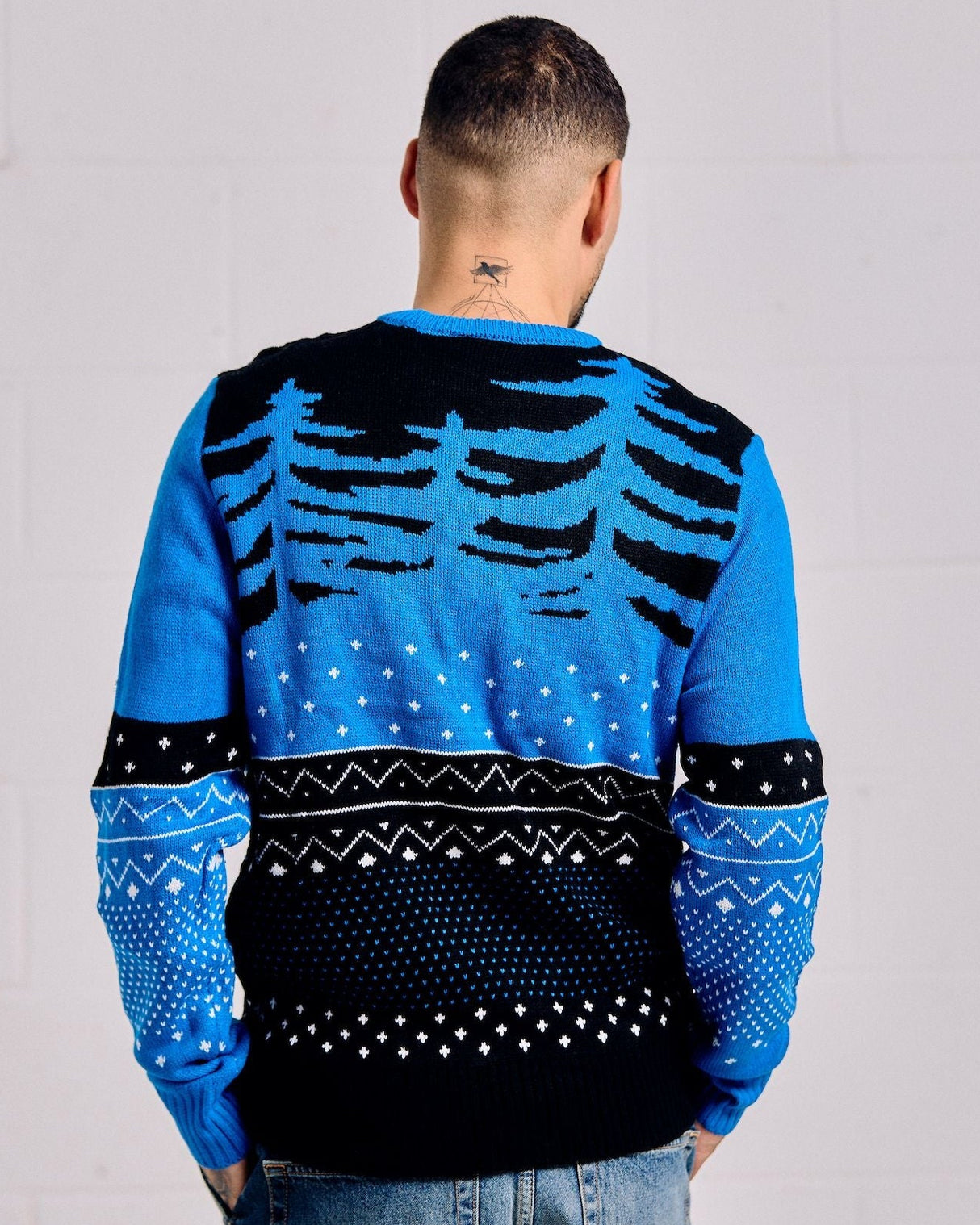 Person wearing a blue and black patterned sweater against a plain background