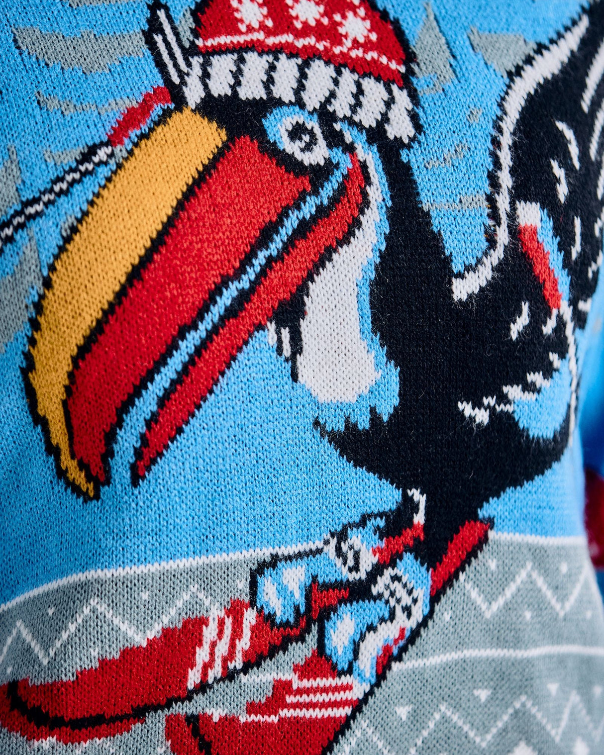 Sweater with a colorful toucan design wearing a knitted hat on a blue background