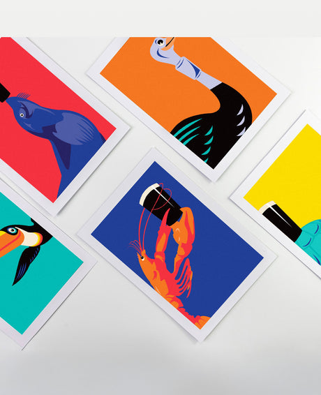 Set of colorful greeting cards with bird illustrations on a white background