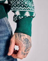 Person wearing a green sweater with a pattern, holding a small object, on a plain background